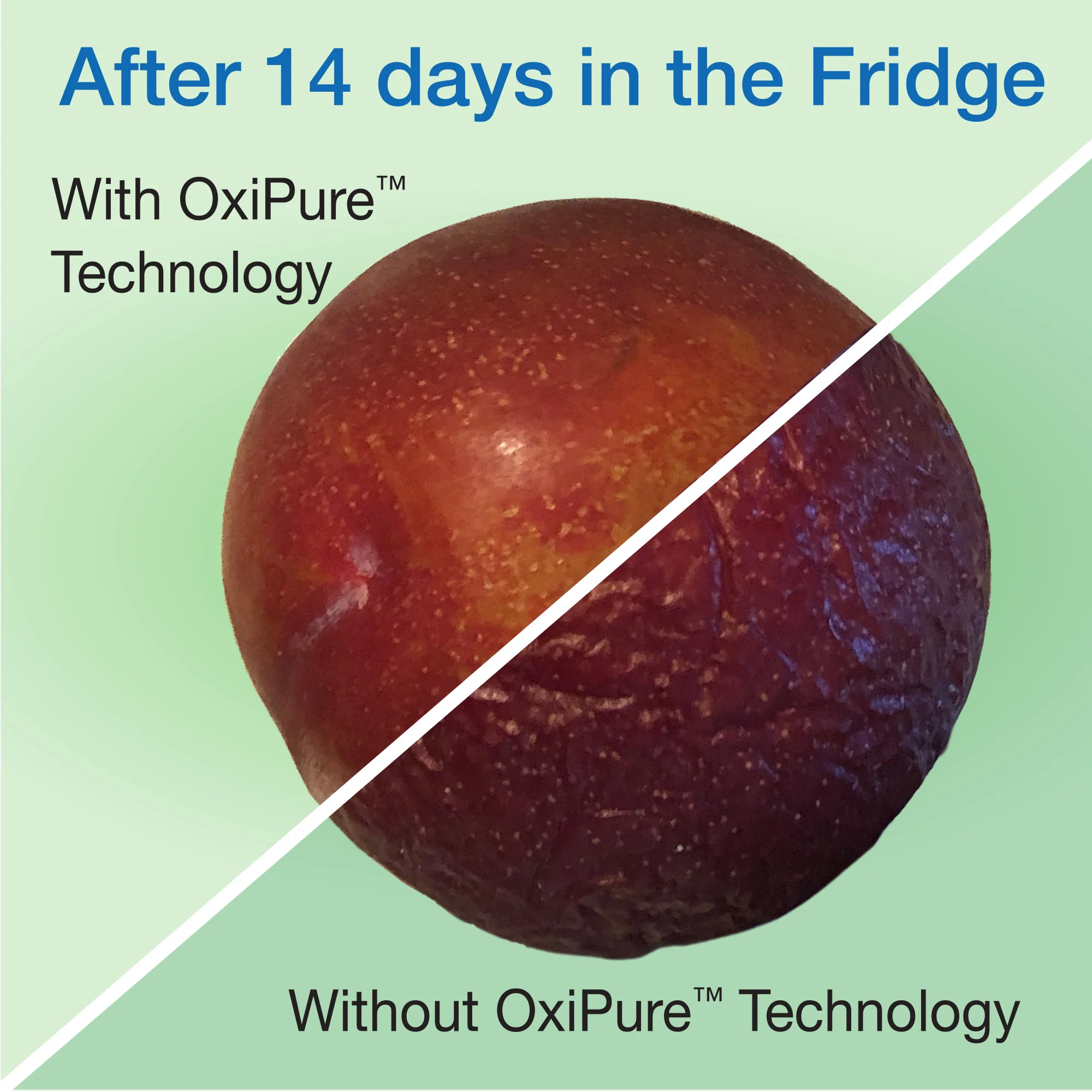 Fresh Slice Fridge Air Freshener - Image 8
